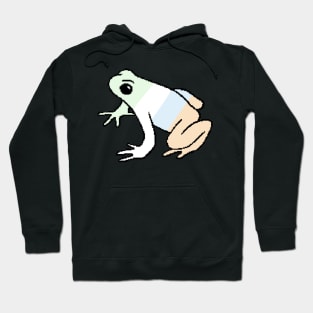 Pixel Unlabeled Frog Hoodie